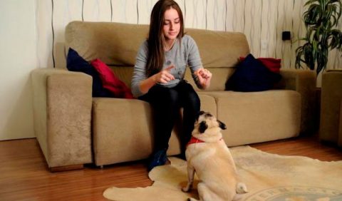 Jovem de 17 anos, sentada em um sofá, faz gestos de Libras para uma cadelinha na sua frente, em cima de um tapete.