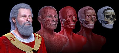 Reprodução de uma reconstrução facial de um homem, à esquerda, a partir do seu crânio, à direita, passando por mais três imagens, com a implantação de músculos, pele e outros detalhes.